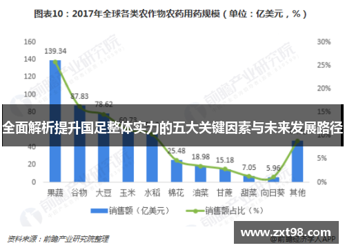 全面解析提升国足整体实力的五大关键因素与未来发展路径 全面解析提升国足整体实力的五大关键因素与未来发展路径