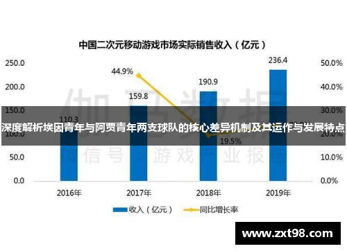 深度解析埃因青年与阿贾青年两支球队的核心差异机制及其运作与发展特点 深度解析埃因青年与阿贾青年两支球队的核心差异机制及其运作与发展特点